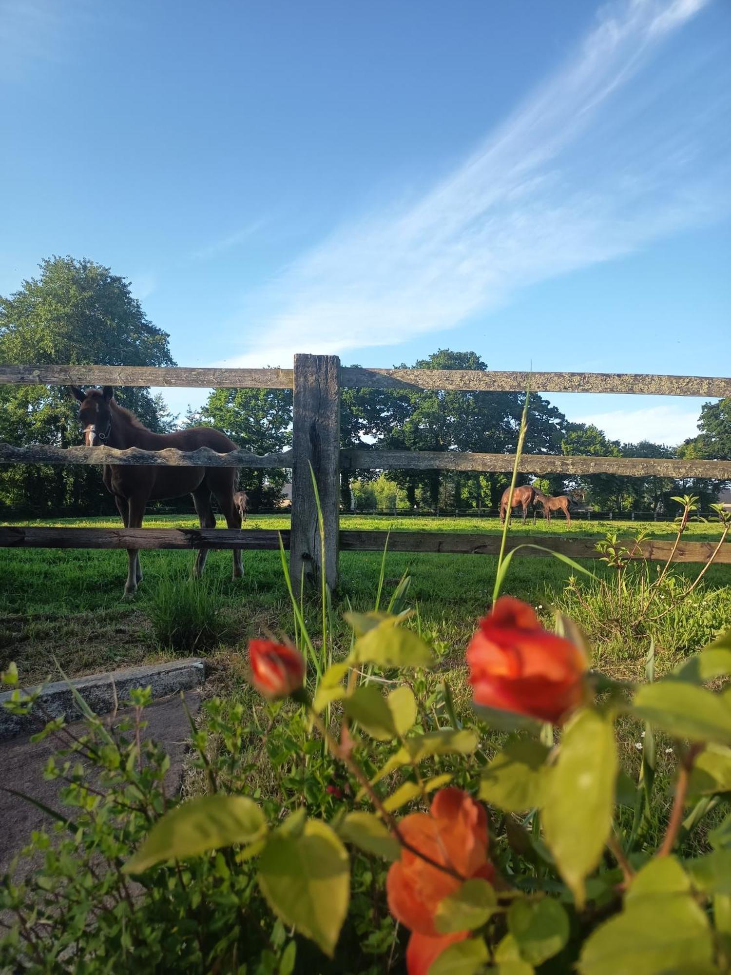 Maison De Charme Tour-en-Bessin 外观 照片